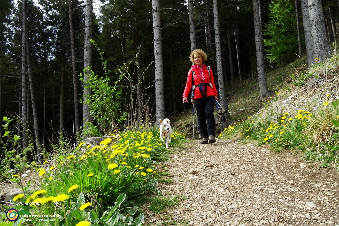 76 Rientriamo al Passo della Presolana.JPG